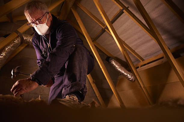 Best Insulation Maintenance and Repair in Harrisville, UT